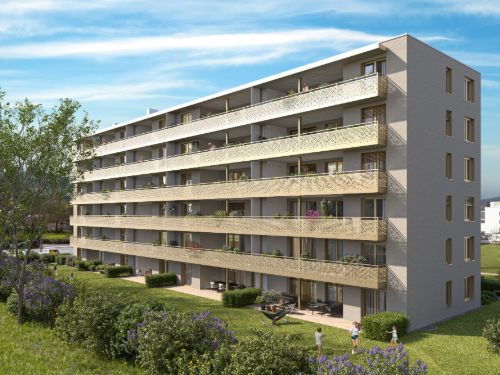 Wyhlenstrasse Pratteln