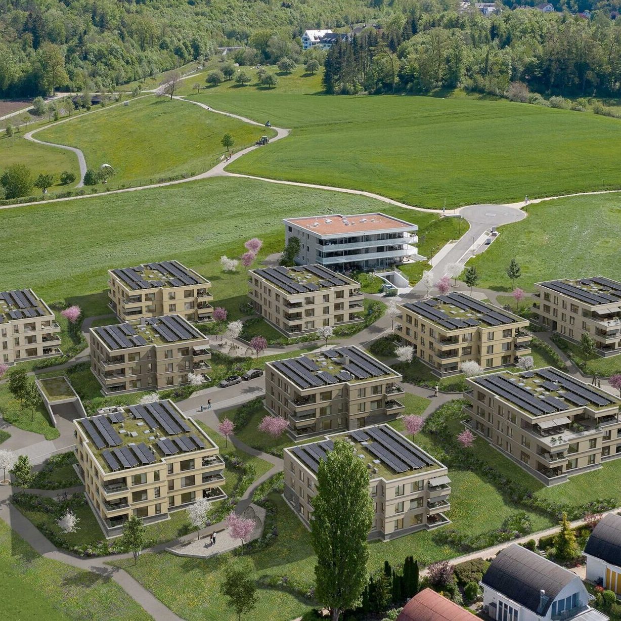 ZEV MFH Brimensdorf_web